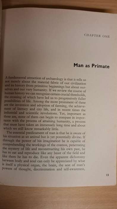 The Stone Age Hunters : Grahame Clark  (Paperback)