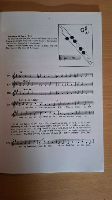 The New Recorder Tutor by Stephen F. Goodyear  (Paperback)