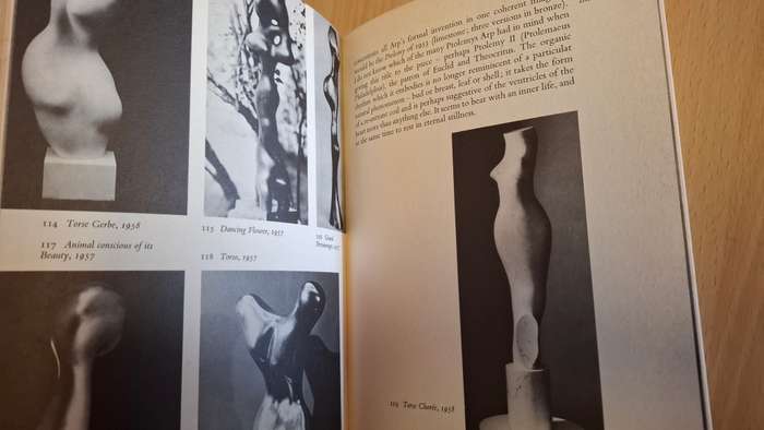 The World of Art Library - Arp : Herbert Read (203 Plates, 17 in colour)  Paperback