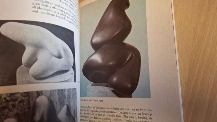 The World of Art Library - Arp : Herbert Read (203 Plates, 17 in colour)  Paperback