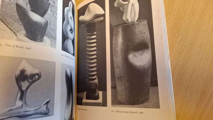 The World of Art Library - Arp : Herbert Read (203 Plates, 17 in colour)  Paperback