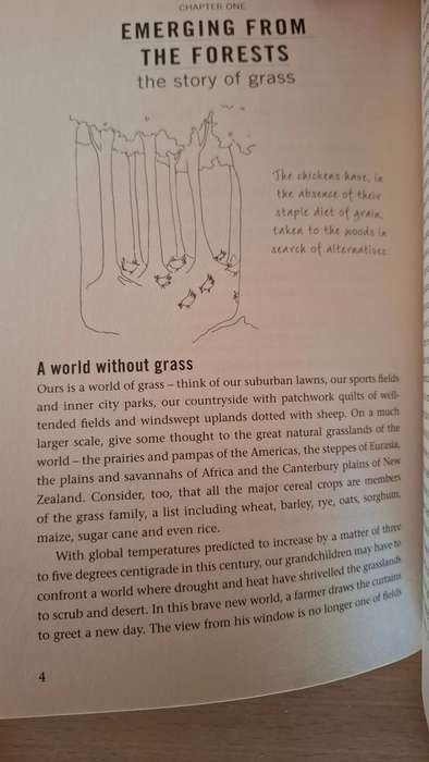 Nature`s Design - Exploring the mysteries of the natural world : Richard Thompson (Paperback)