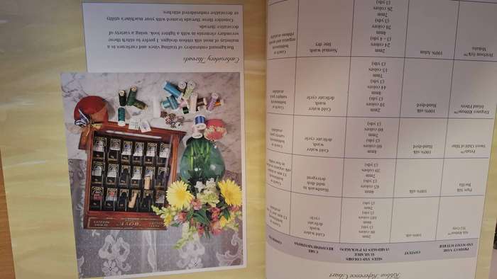 Silk Ribbon Machine Embroidery : Nancy Bednar  (Hardcover)
