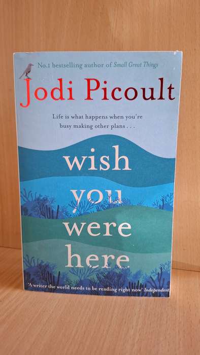 Wish You Were Here: Jodi Picoult  (Paperback)