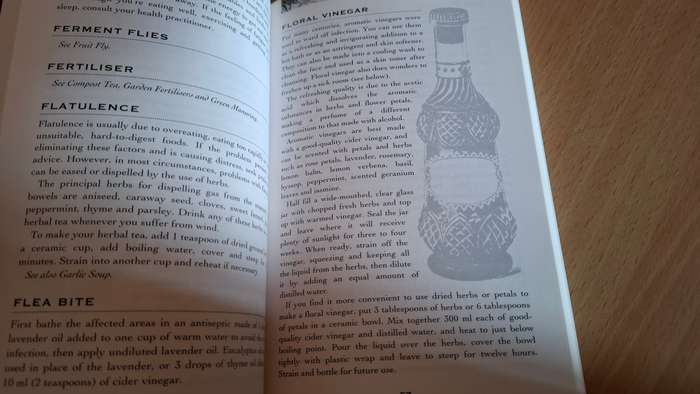 More of Its So Natural - Hints,tips and Remedies for Home, Health and Garden :Alan Hayes (Paperback)