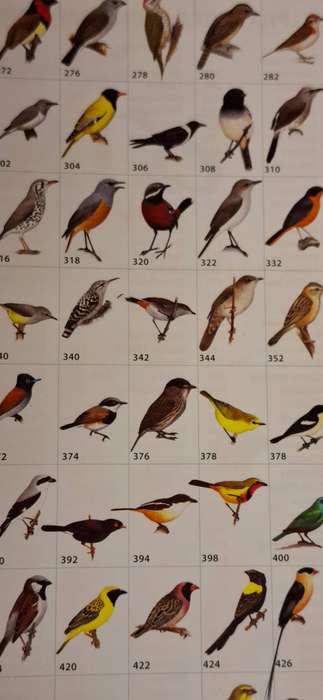 SASOL - Birds of Southern Africa : Ian Sinclair, Peter Ryan (Paperback) NEW CONDITION