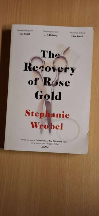 The Recovery of Rose Gold : Stephanie Wrobel  (Large Paperback)