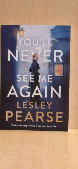 You`ll Never See Me Again : Lesley Pearse (Large Paperback)