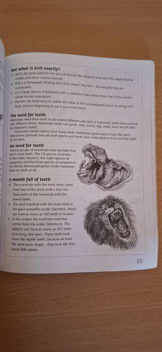 African Wildlife Trivia : Dawid Van Lill (Paperback)