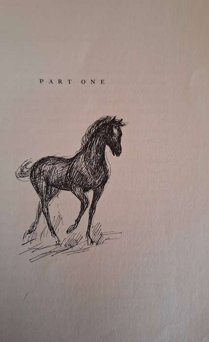 Black Beauty by Anna Sewell (Hardcover)