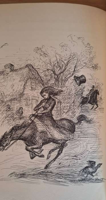 Black Beauty by Anna Sewell (Hardcover)