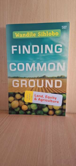 Finding Common Ground : Wandile Sihlobo  (Large Paperback)