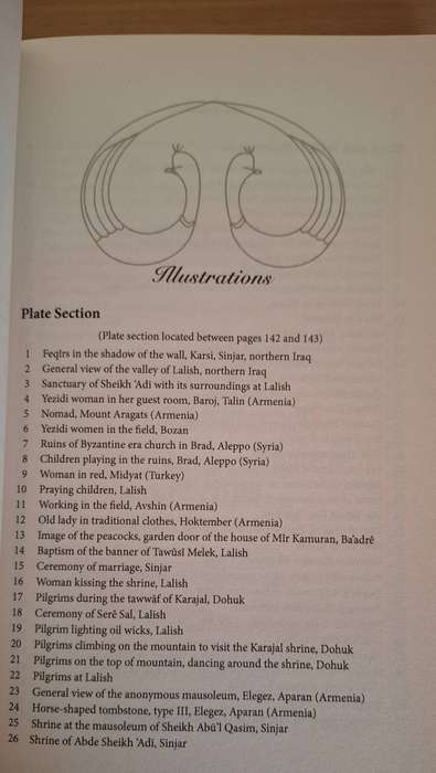 The Yezidis: The History of a Community, Culture and Religion : Birgül Açikyildiz (Paperback)