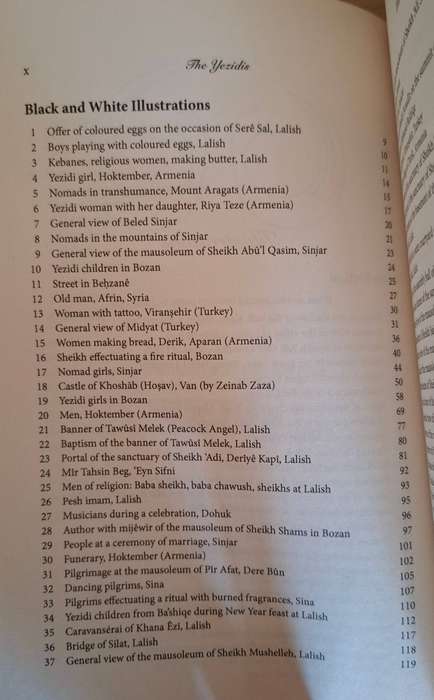 The Yezidis: The History of a Community, Culture and Religion : Birgül Açikyildiz (Paperback)
