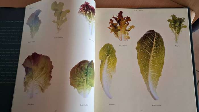 Greens - A Country Garden Cookbook (Hardcover)