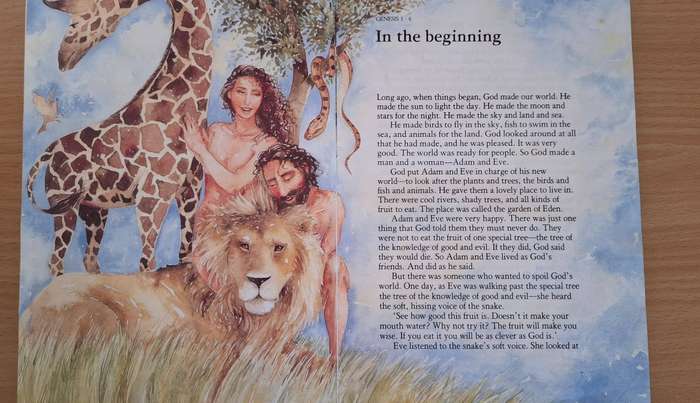 The Struik Children`s Bible - The world`s greatest story retold for every child (Hardcover)