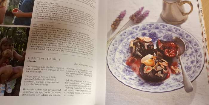 Somerkos in Provence : Marita van der Vyver