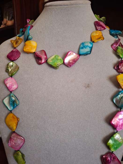 Stunning muilti colored shell necklace