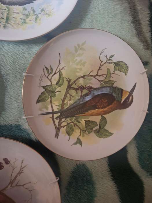 Four decorative bird sence plates