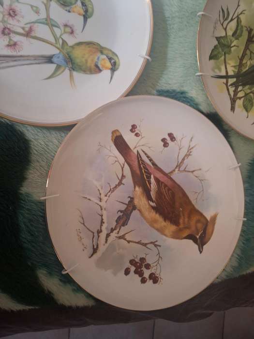 Four decorative bird sence plates