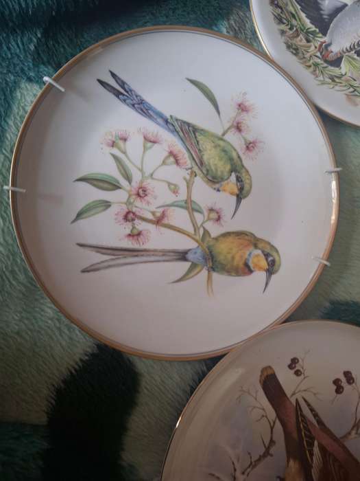 Four decorative bird sence plates