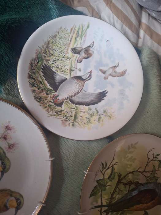 Four decorative bird sence plates