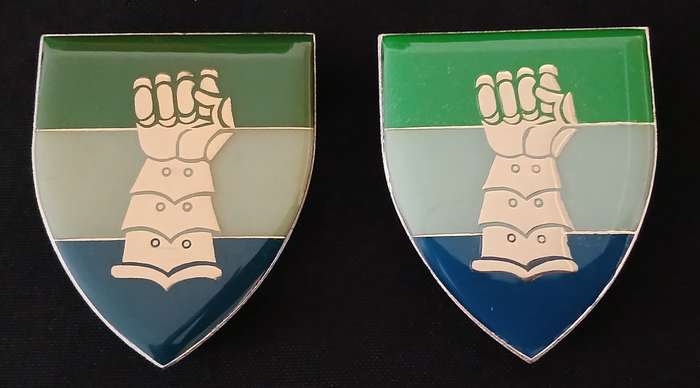 SADF 81 SIGNAL UNIT SHOULDER FLASH PAIR                     L52