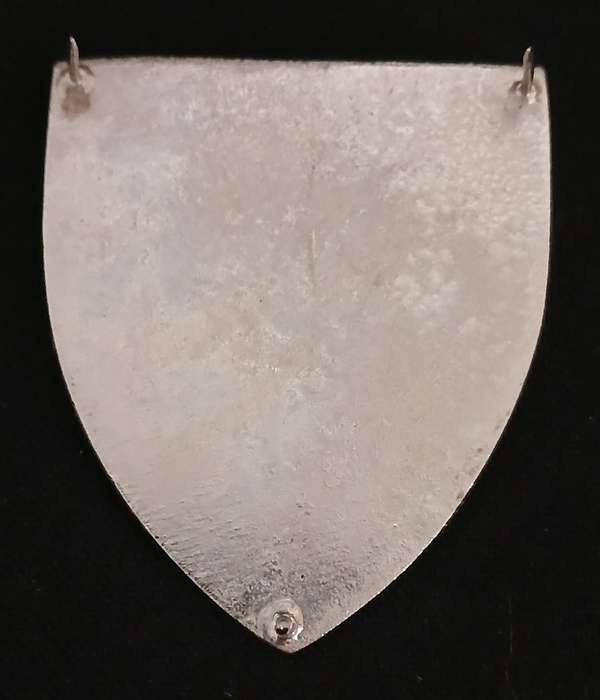 SADF Danie Theron Combat School Shoulder Flash                       L59