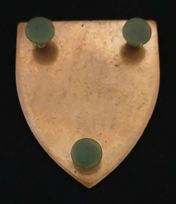 SADF CATERING CORPS SHOULDER FLASH                         L65