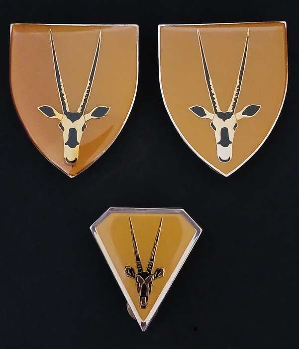 8 SA INFANTRY BATTALION SHOULDER FLASH PAIR + POCKET FLASH                     L66