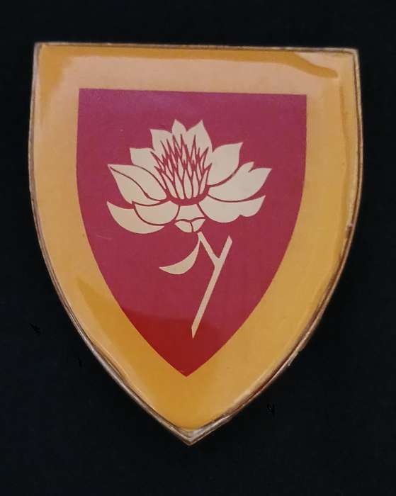 SADF- SA ARMY WOMENS COLLEGE  SHOULDER FLASH                  L73