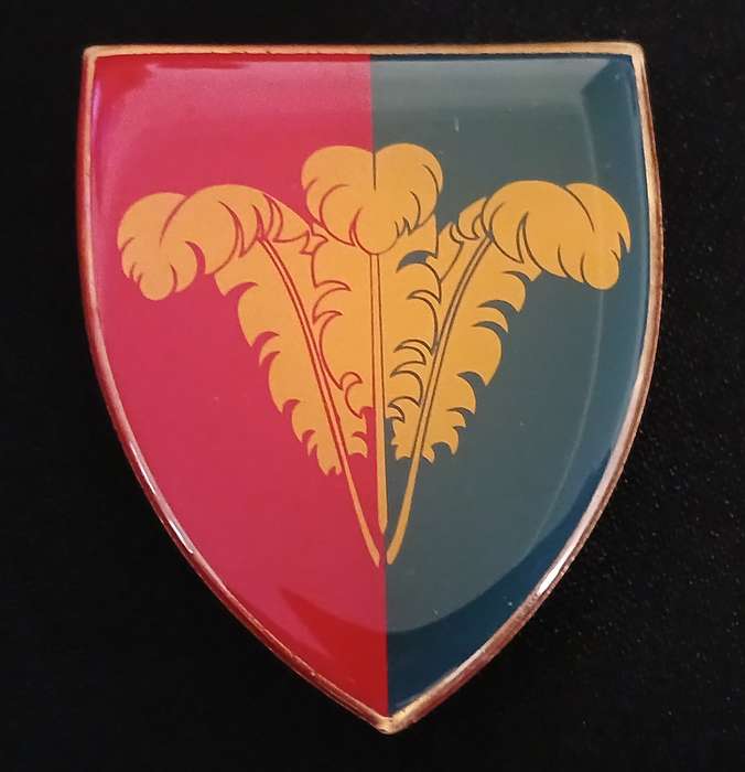 SADF SHOUTHERN CAPE COMMAND WORKSHOP SHOULDER FLASH                        L87