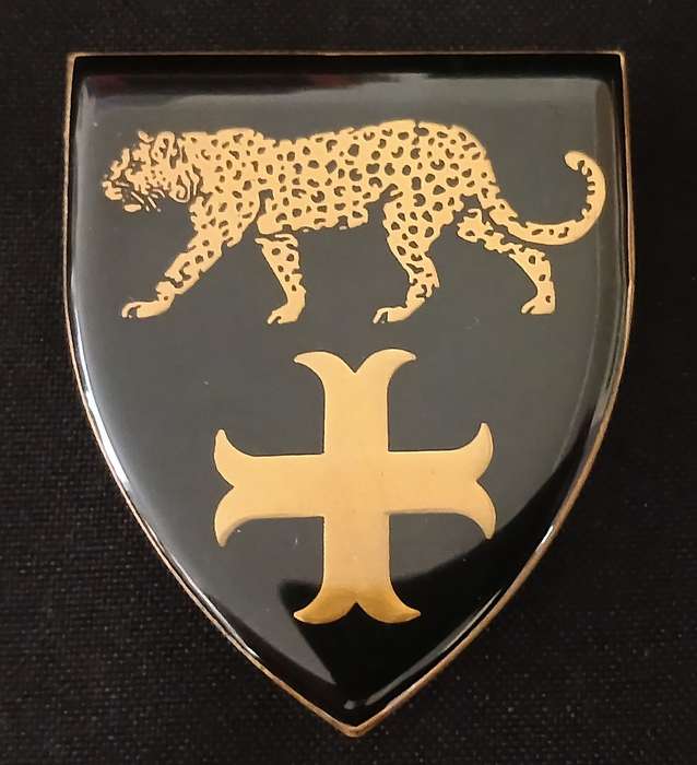 SADF DE MIST COMMANDO SHOULDER FLASH        L93