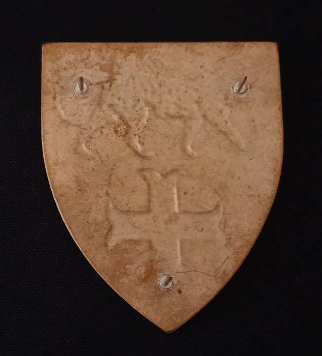 SADF DE MIST COMMANDO SHOULDER FLASH        L93