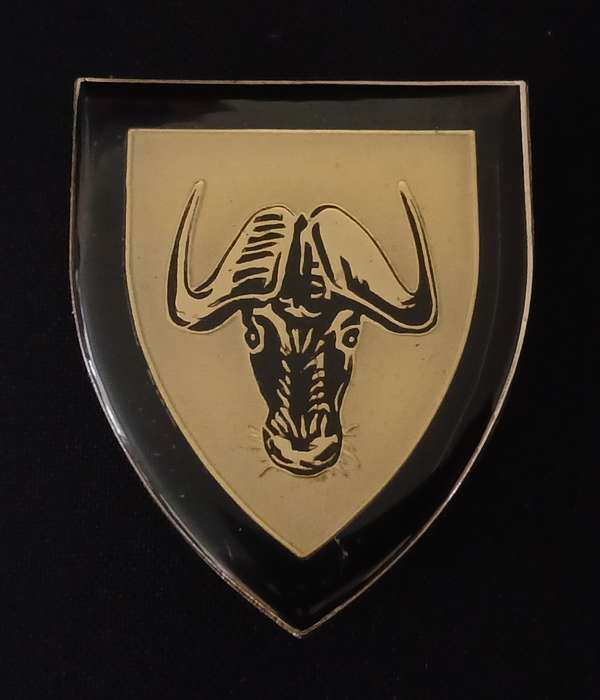 SADF PORT NATAL SHOULDER FLASH      ( ONE PIN REPAIRED )                  L96