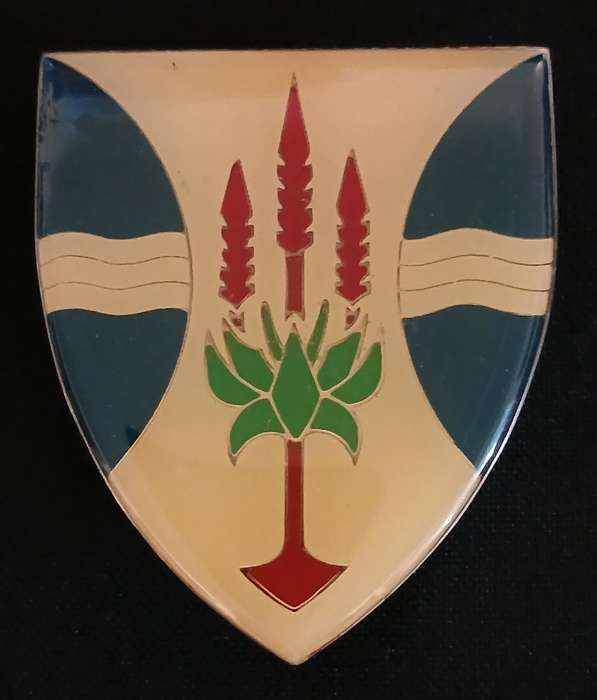SADF RIVERSDAL COMMANDO SHOULDER FLASH                L102