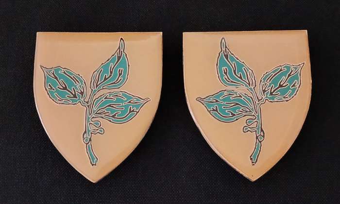 SADF Rouxville Commando Shoulder Flashes - Very Rare - L116