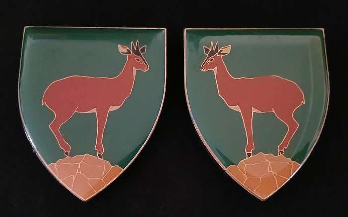 SADF KLEIN KAROO COMMANDO SHOULDER FLASH PAIR  WITH BACKING                 L127