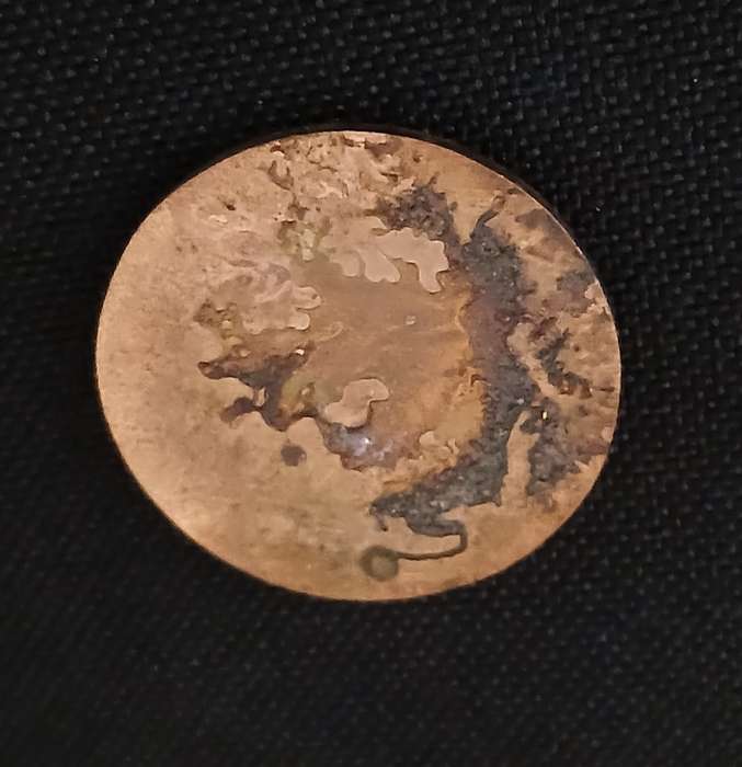 MOZAMBIQUE RENAMO FORCES  BADGE  ( NOTE NO PINS )                 L135