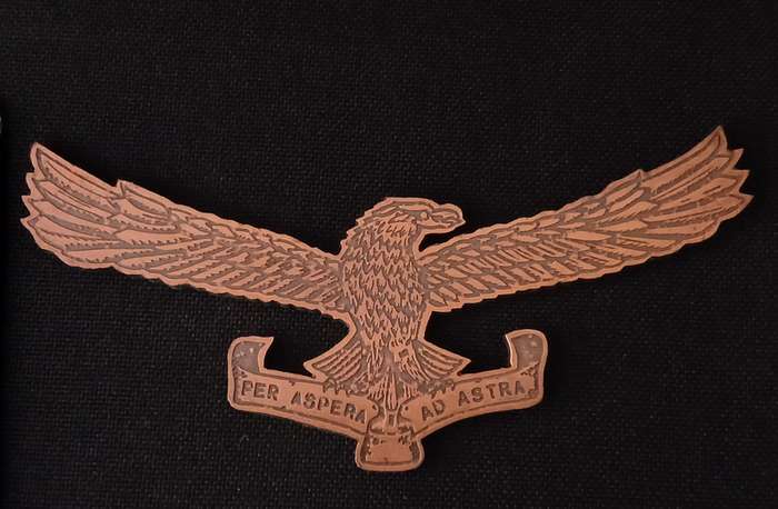 SOUTH AFRICAN AIRFORCE  " PES ASPERA AD ASTRA " METAL BADGE               L141