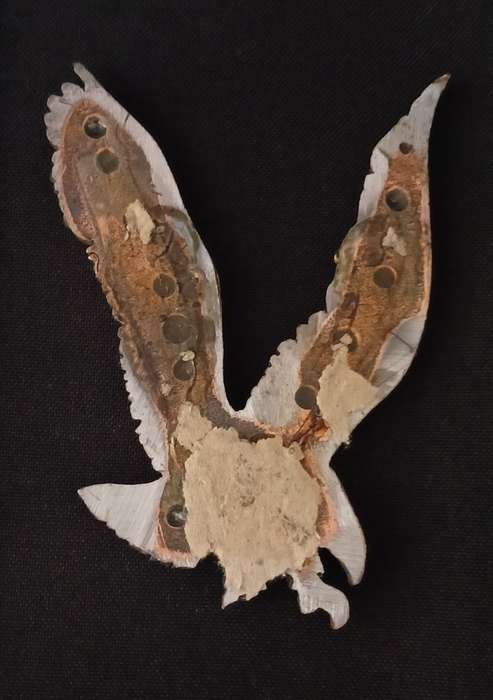 UNKNOWN METAL EAGLE BADGE " HEAVY "   ( NOTE ONE CLAW BROKEN OFF )                     LI42