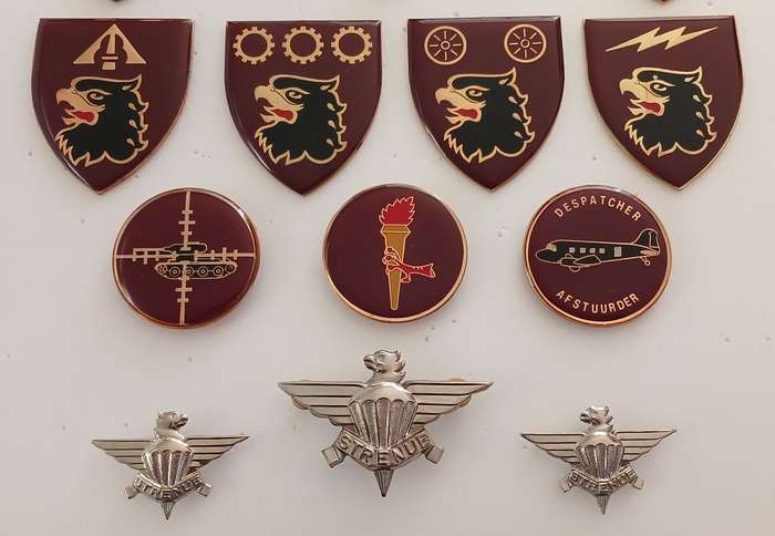 SADF 44 PARACHUTE BRIGADE FLASHES 1978 - 1999   ( FLASHES & BADGES LOT )     """  STUNNING """