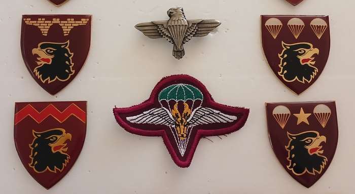 SADF 44 PARACHUTE BRIGADE FLASHES 1978 - 1999   ( FLASHES & BADGES LOT )     """  STUNNING """