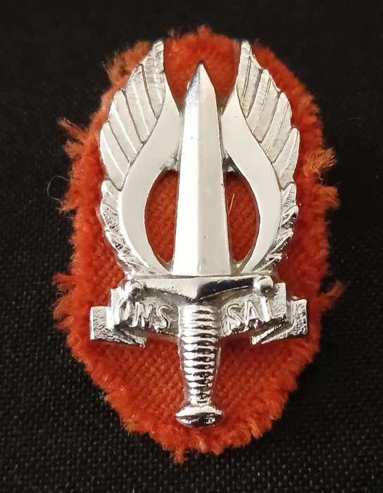 SADF REGIMENT NORTHERN TRANSVAAL BERET BADGE                               L188