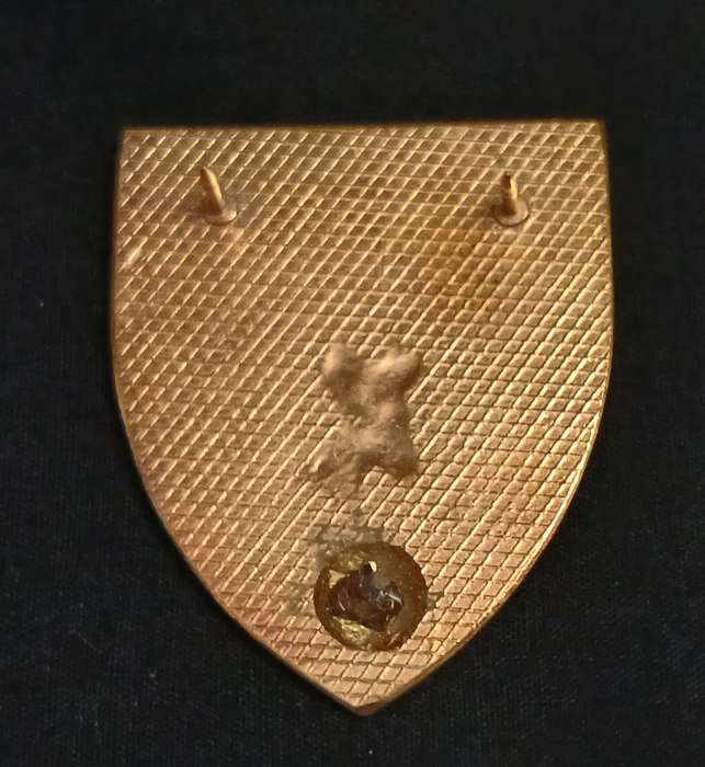 SOUTH WEST AFRICA COMMAND POCKET FLASH      ( ONE PIN REPAIRED )          L211