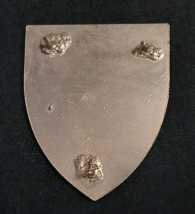 1 SWA SIGNAL REGIMENT POCKET FLASH                     L212