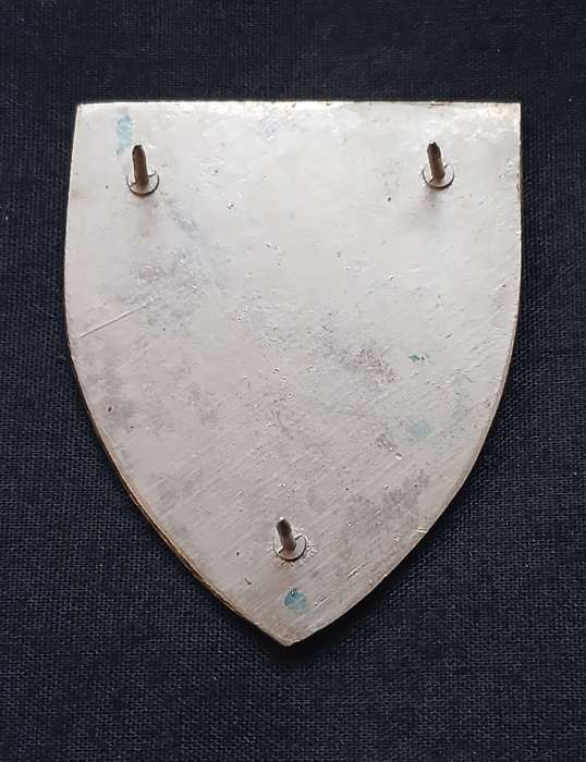SOUTH WEST AFRICA TERRITORY FORCE ( SWATF )  1 SWA LOGISTICS BRIGADE  POCKET FLASH   " RARE "  L227