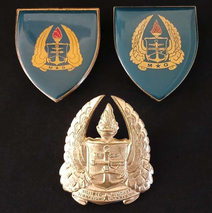 SADF MILITARY GYMNASIUM  GOLD & YELLOW TYPE SHOULDER FLASHES + CAP BADGE             L232