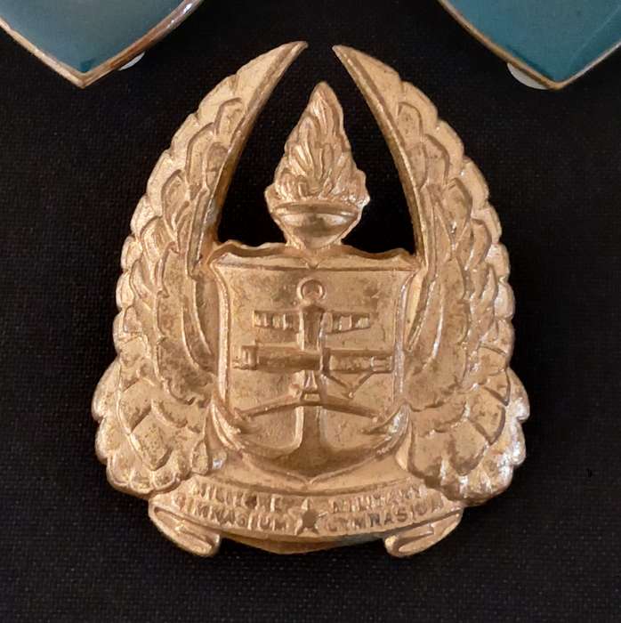 SADF MILITARY GYMNASIUM  GOLD & YELLOW TYPE SHOULDER FLASHES + CAP BADGE             L232