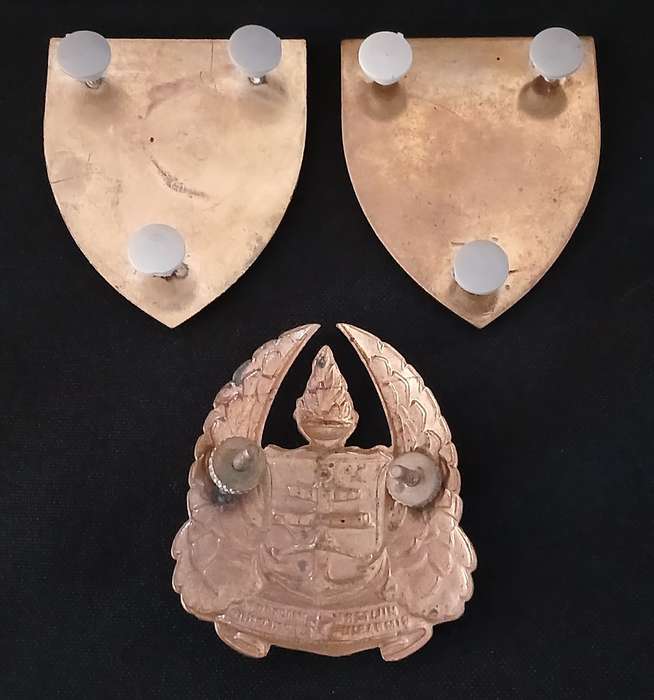 SADF MILITARY GYMNASIUM  GOLD & YELLOW TYPE SHOULDER FLASHES + CAP BADGE             L232